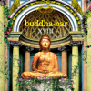 Buddha Bar XVIII - Buddha Bar
