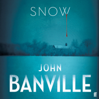 John Banville - Snow artwork