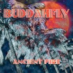 Buddahfly - Concrete Road (feat. Roots of Creation)