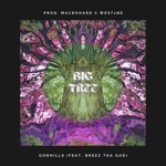 Gonhills - Big Tree (feat. Breez Tha God)