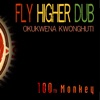 Fly Higher Dub - Single