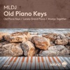 Old Piano Keys - Single