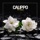 Calippo-All I Want