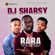 Raba (feat. Kiss Daniel & Sugarboy) - DJ Shabsy