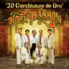 20 Cumbiones de Oro album lyrics, reviews, download