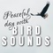 Bird Sound artwork