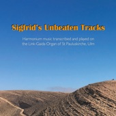 Sigfrid's Unbeaten Tracks: Harmonium Music transcribed and played on the Link-Gaida Organ of St Pauluskirche, Ulm artwork