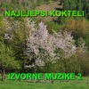 Najljepsi Kokteli Izvorne Muzike 2