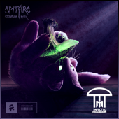 Spitfire (Stonebank Remix) - Infected Mushroom