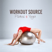 Workout Source - Pilates & Yoga: Feel the Power, Move Your Body, Warm Up, Stretching & Cool Down artwork