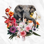 Elephant artwork