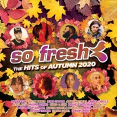 So Fresh: The Hits of Autumn 2020 artwork