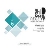 Max Reger - Works for Organ - Vol. 6 (Schuke-Orgel, Marktkirche in Halle) artwork