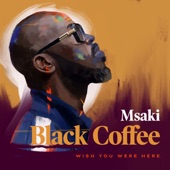 Black Coffee - Wish You Were (feat. Msaki)