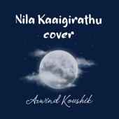Nila Kaaigirathu (Freestyle) artwork