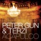 Acapulco - Peter Gun & Terzi lyrics
