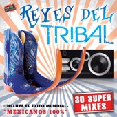 Reyes del Tribal "30 Super Mixes" artwork