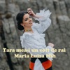 Tara Mea-I Un Colt De Rai - Single, 2020