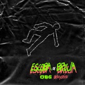 Escoba de bruja (feat. Denyerkin) artwork