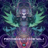 Psychedelic Code, Vol. 1 (Compiled by Djane Edy & DJ Nicholas) artwork