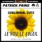 Le voie le soleil (Prins & Sheridan Remix) - Patrick Prins lyrics