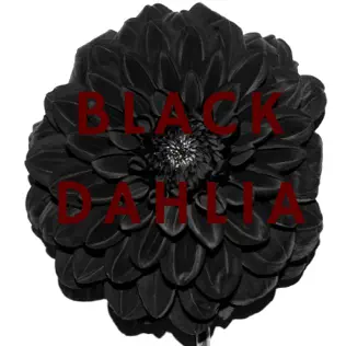 descargar álbum Black Dahlia - Black Dahlia