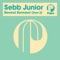I Heard You Calling (feat. Art Of Tones) - Sebb Junior lyrics