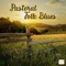 Quiet Pastoral Folk Blues artwork