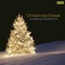 In the Bleak Midwinter - Robert Shaw & Robert Shaw Chamber Singers lyrics