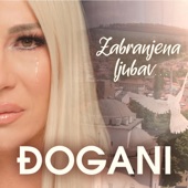 Zabranjena ljubav artwork