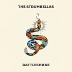 The Strumbellas - Running Scared (Desert Song)