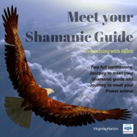 Virginia Harton - Meet Your Shamanic Guide: Connecting with Spirit artwork