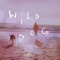 Wild Dog artwork