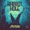 Rabbit Hole artwork