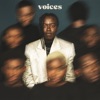 Voices by Tusse iTunes Track 1