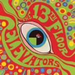 13th Floor Elevators - You're Gonna Miss Me (Mono LP Version)