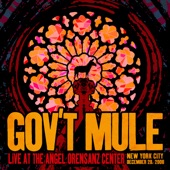 Gov't Mule - Soulshine (Live at the Angel Orensanz Center, New York City, NY, 12/28/2008)