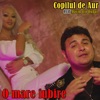 O Mare Iubire (feat. David din Dubai) - Single