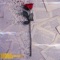 Be Here (feat. Trashi Jaci) - Brick lyrics