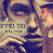 נזכר בעיניה artwork