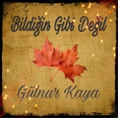 Bildiğin Gibi Değil artwork