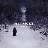 Metrickz - Nie wieder Winter artwork