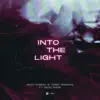 Into the Light (feat. David Shane) [Extended Mix] song lyrics