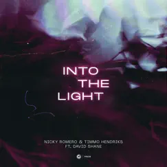 Into the Light (feat. David Shane) [Extended Mix] Song Lyrics