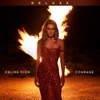 Courage (Deluxe Edition) artwork