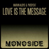 Love Is the Message artwork