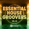 Essential House Groovers, Vol. 03