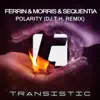 Polarity (DJ T.H. Remix) - Single album lyrics, reviews, download