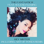 Hey Mister! (feat. Sulene Fleming) [Art of Tones Remix] artwork