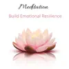 Meditation: Build Emotional Resilience album lyrics, reviews, download